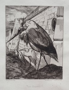 鹳，1865年。 作者 费利克斯·布拉克蒙德