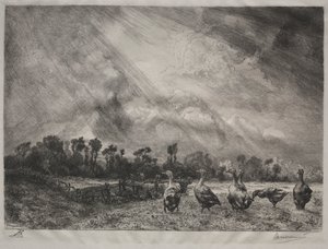 暴风云，1878-1887年。 作者 费利克斯·布拉克蒙德