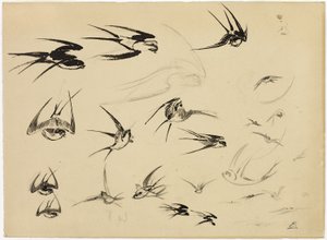 燕子》，约 1881 年（纸上钢笔、毛笔、墨水、粉笔、蜡笔和石墨） 作者 费利克斯·布拉克蒙德