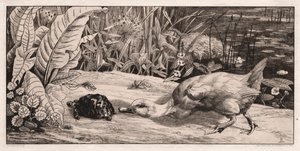 未知，1862年。 作者 费利克斯·布拉克蒙德