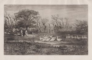 鹅，1860-98。 作者 菲利克斯·希拉勒·布霍特