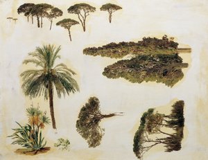 罗马的树木研究 作者 费迪南德·乔治·沃尔德米勒