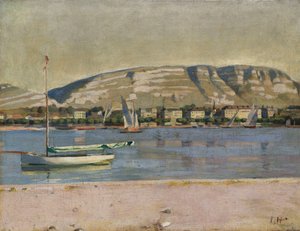 日内瓦港和萨利夫，1878年 作者 费迪南德·霍德勒