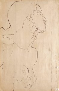 研究“感觉I”（纸上的印度墨水） 作者 费迪南德·霍德勒