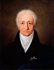 作者约翰·沃尔夫冈·冯·歌德的肖像，1749年至1832年，1818年。