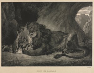 Lion de lAtlas，1829年。 作者 费迪南德·维克多·尤金·德拉克罗瓦