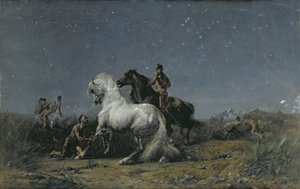 盗贼，19世纪