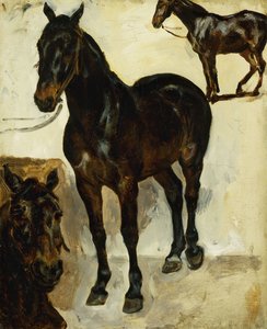 三匹马研究；马三研究，约1823年 作者 费迪南德·维克多·尤金·德拉克罗瓦