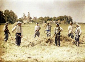法国陆军第143步兵师的八名成员正在制作干草，Soissons，Aisne，法国，1917年（自然色） 作者 费尔南德·库维尔