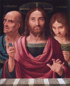Salvator Mundi between Saints Peter and John, c.1507 (oil on wood) 作者 费尔南多·亚内兹·德·阿尔梅迪纳