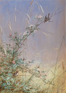1874年黑麦中的野玫瑰（wc＆水粉纸上的水粉）