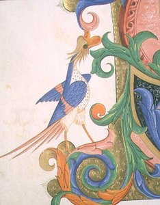 Missal 515 f.20v 幻想中的鸟，来自1449年之前执行的唱诗班书籍的历史性首字母装饰细节（牛皮纸）。