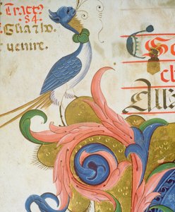 Missal 515 f.28v奇幻鸟，人头站在一个历史悠久的初始角落，细节来自于1449年之前执行的合唱团书籍56724的细节