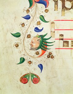 Missal 515 f.72v Zoomorphic foliate border，1449 vellum之前执行的合唱团书中的细节