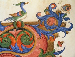 Missal 515 f.92v具有鸭状鸟和蝴蝶的变形叶子，装饰细节围绕着1449年之前执行的合唱团的历史首字母