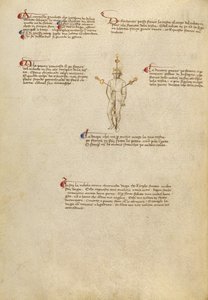 身体上的瞄准点 作者 Fiore Furlan dei Liberi da Premariacco