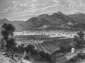 淘，c1880 作者 弗莱明