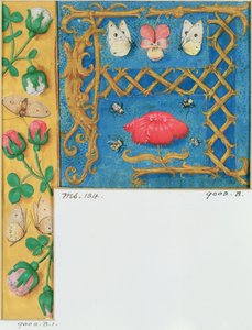 134号女士，从“小时之书”，第1500页开始，照亮了字母A和鲜花的边框 作者 佛兰芒学校