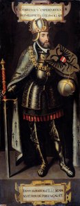 查理五世（1500-1558）的肖像，西班牙国王，神圣罗马帝国的皇帝。弗拉芒画派的绘画