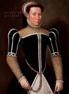 一个女人的肖像，1556年 作者 佛兰芒学校