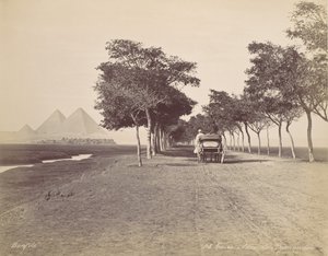 开罗。金字塔胡同，约1870年。