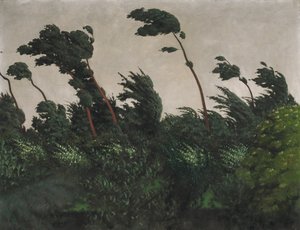 风