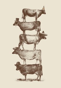 Cow Cow Nuts 作者 弗洛伦德·博达特