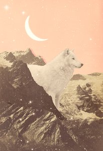 粉红山脉中的巨狼，2021 年（拼贴画）