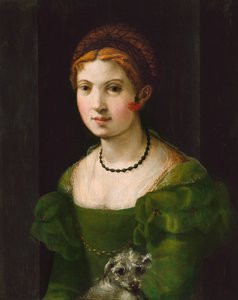 一个年轻女人的画像 作者 佛罗伦萨 16 世纪