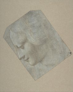 一个女人的头像，正面朝左，1490-1500年。 作者 列奥纳多·达·芬奇的追随者。