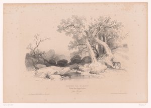 与水和两只鹿的岩石景观 研究风景、动物和细节的绘画课程（系列名称） 设计课程。 风景画、人物、动画、配件、par Férogio（物品上的系列标题） 作者 弗朗索瓦·德拉鲁