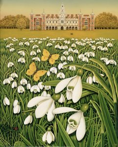 Snowdrop Day，Hatfield House，1999（油田和油田）