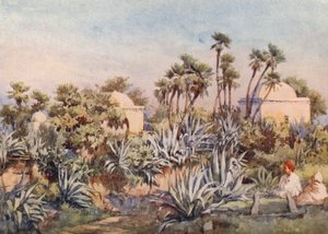 西迪-努曼的库巴，布扎雷（彩色石版画） 作者 弗朗西斯·内斯比特