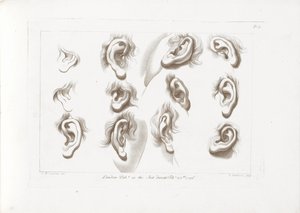 十二只耳朵 西普里亚尼斯的绘画原理（系列标题） Ciprianis 绘画基础（系列标题）