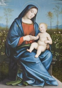 玫瑰园中的圣母与圣婴，Raibolini Francesco，又名 Francesco Francia（油画板）