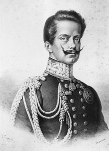 意大利第一任国王维托里奥-埃马努埃莱二世（1820-1878）的肖像，由弗朗西斯科-戈宁（1808-1889）平版印刷。