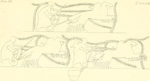 INGHIRAMI(1835) Paintings of Fictile Vases Vol3 T212 (14598189190) 作者 弗朗切斯科·英吉拉米（Francesco Inghirami）
