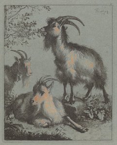 三只羊，1758年。 作者 弗朗切斯科·伦敦尼奥（Francesco Londonio）