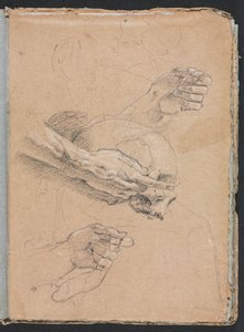 维罗纳素描本：手和头骨研究（第 21 页） 作者 弗朗切斯科·洛伦兹（Francesco Lorenzi）