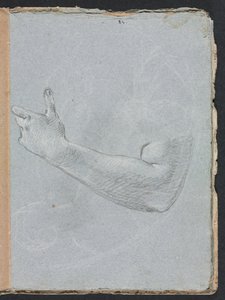 维罗纳素描本：左臂和左手第47页，1760年。 作者 弗朗切斯科·洛伦兹（Francesco Lorenzi）