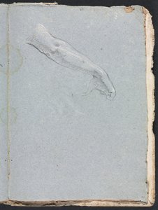 维罗纳素描本：右手和右手第95页，1760年。 作者 弗朗切斯科·洛伦兹（Francesco Lorenzi）