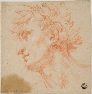 男性头像侧面，冠以桂叶 作者 弗朗切斯科·索利米娜（Francesco Solimena）