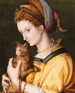 戴猫的女士，约1525-30年