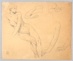 女性裸体和手臂素描