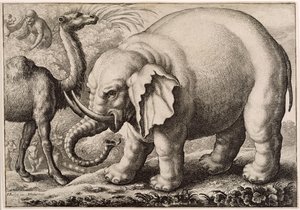 大象和骆驼，由Wenceslaus Hollar（1607-77）1663年雕刻 作者 弗朗西斯·巴洛