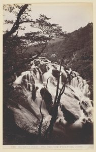Bettw-s-y Coed，燕子从天而降