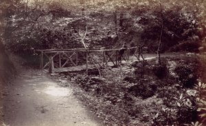 科尔温湾。树林中的乡村桥，19世纪70年代。