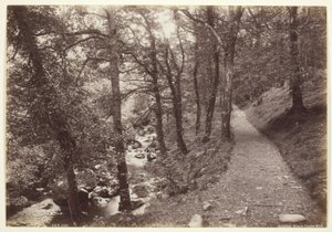 多尔盖利 (Dolgelley)，Torrent Walk 景观 作者 弗朗西斯·贝德福德