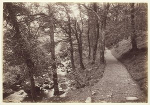 Dolgelley，Torrent Walk的风景，186094。