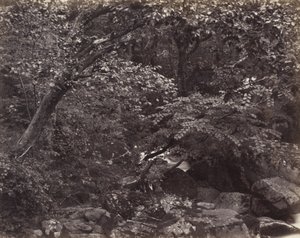 林茅斯谷，19世纪60年代 作者 弗朗西斯·弗里斯